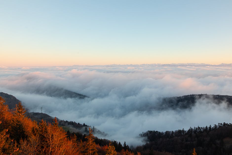 Anzahl Millionäre in der Schweiz