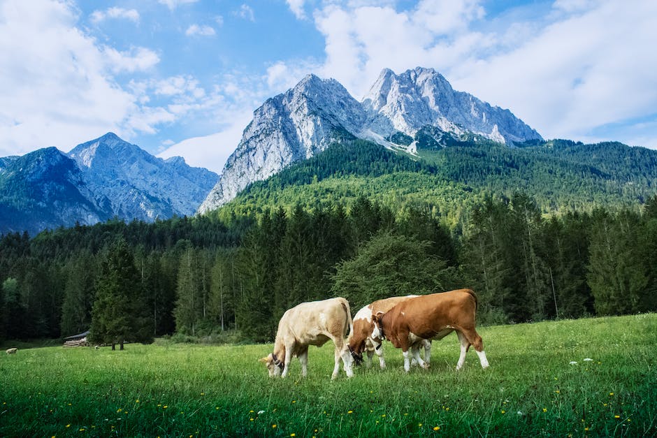  Gründung der Schweiz