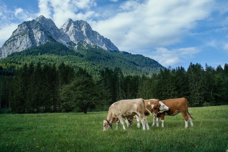  SchweizbleibtunabhängigvonEuropäischerUnion