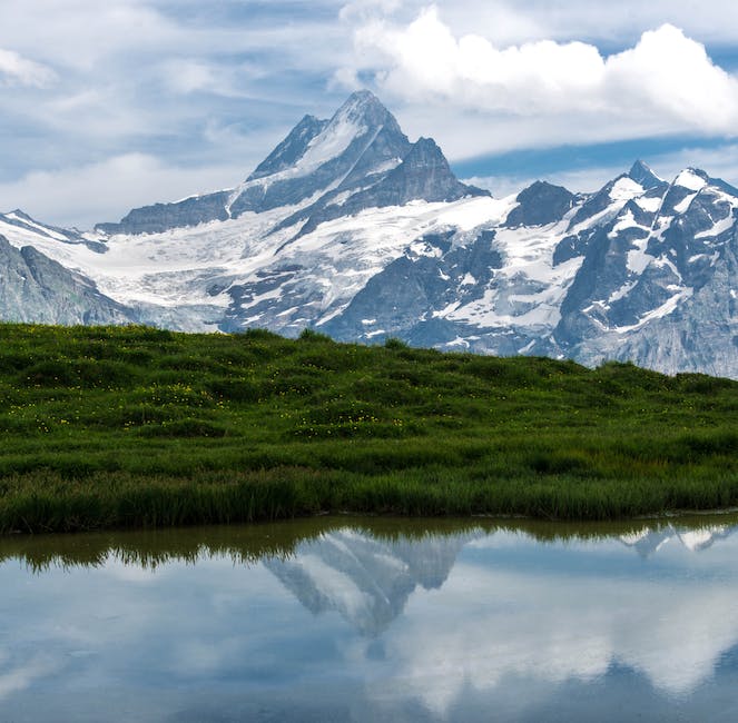  Krankschreibungen in der Schweiz: Was ist erlaubt?