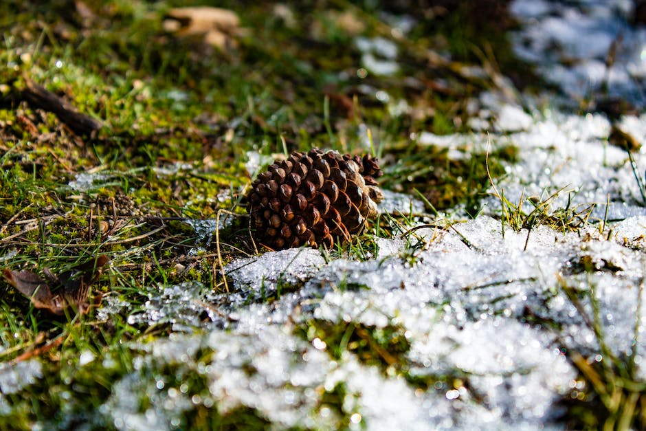  Wo findet man in der Schweiz Schnee?