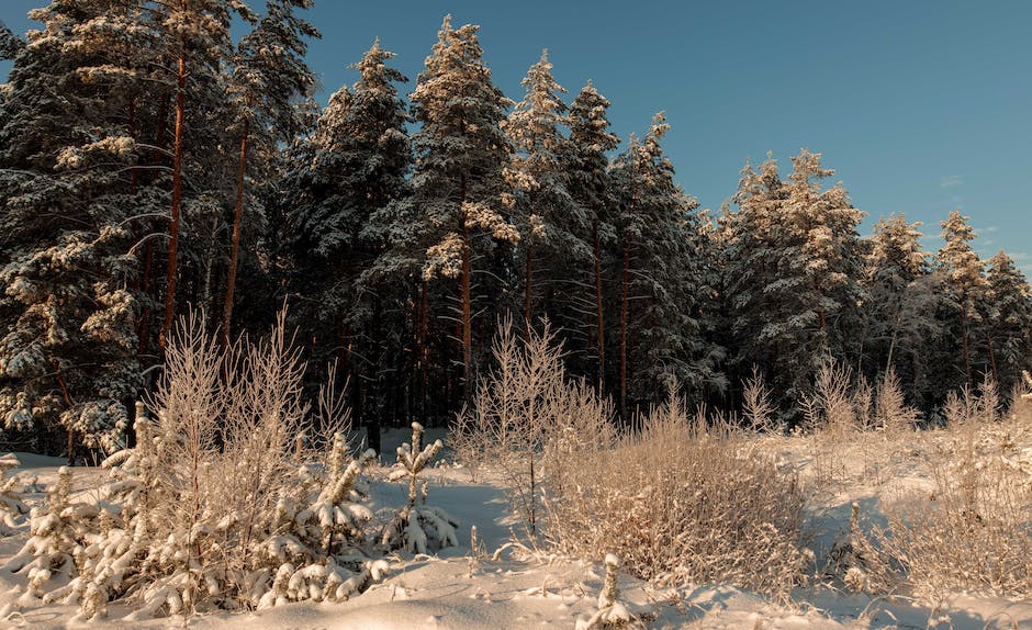 Schneebedeckte Landschaft Schweiz