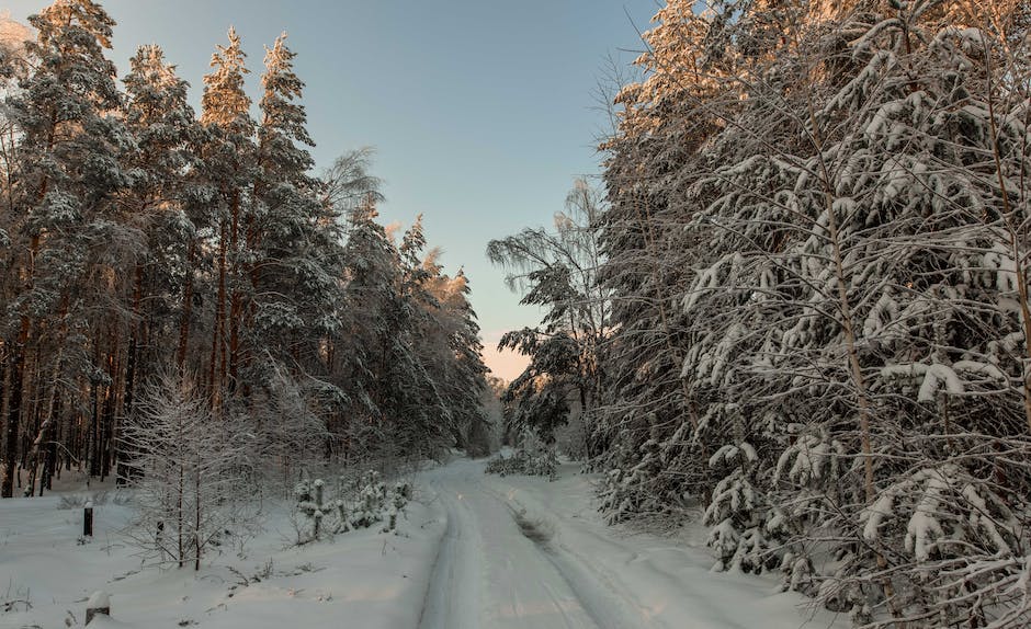 Schneelandschaft in der Schweiz