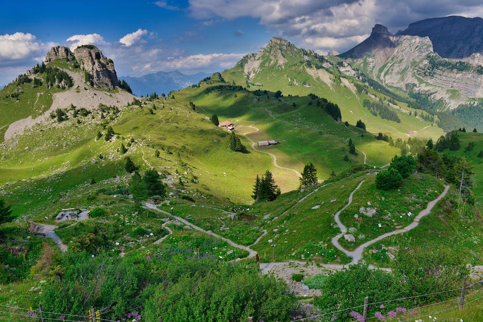 Schweiz gegen Kamerun Übertragungsinformationen